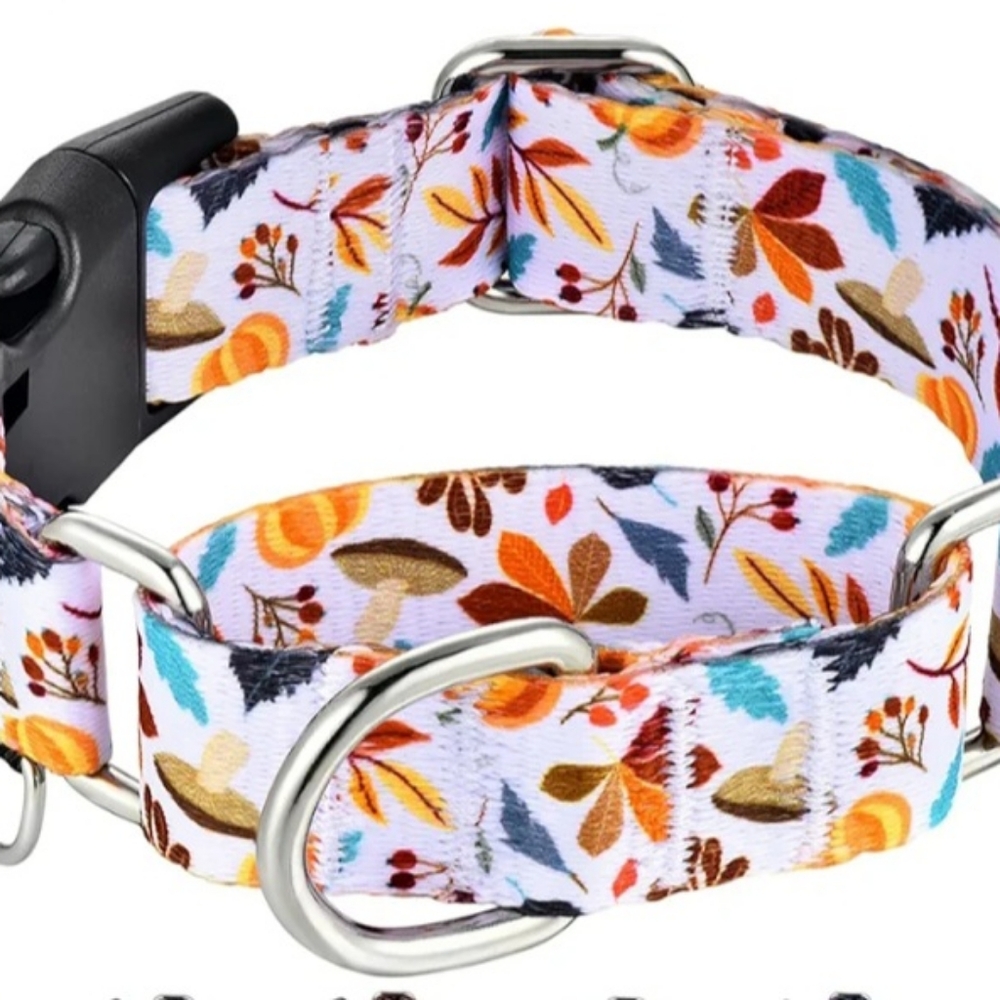 Falling Leaves🍂 Martingale Dog Collar